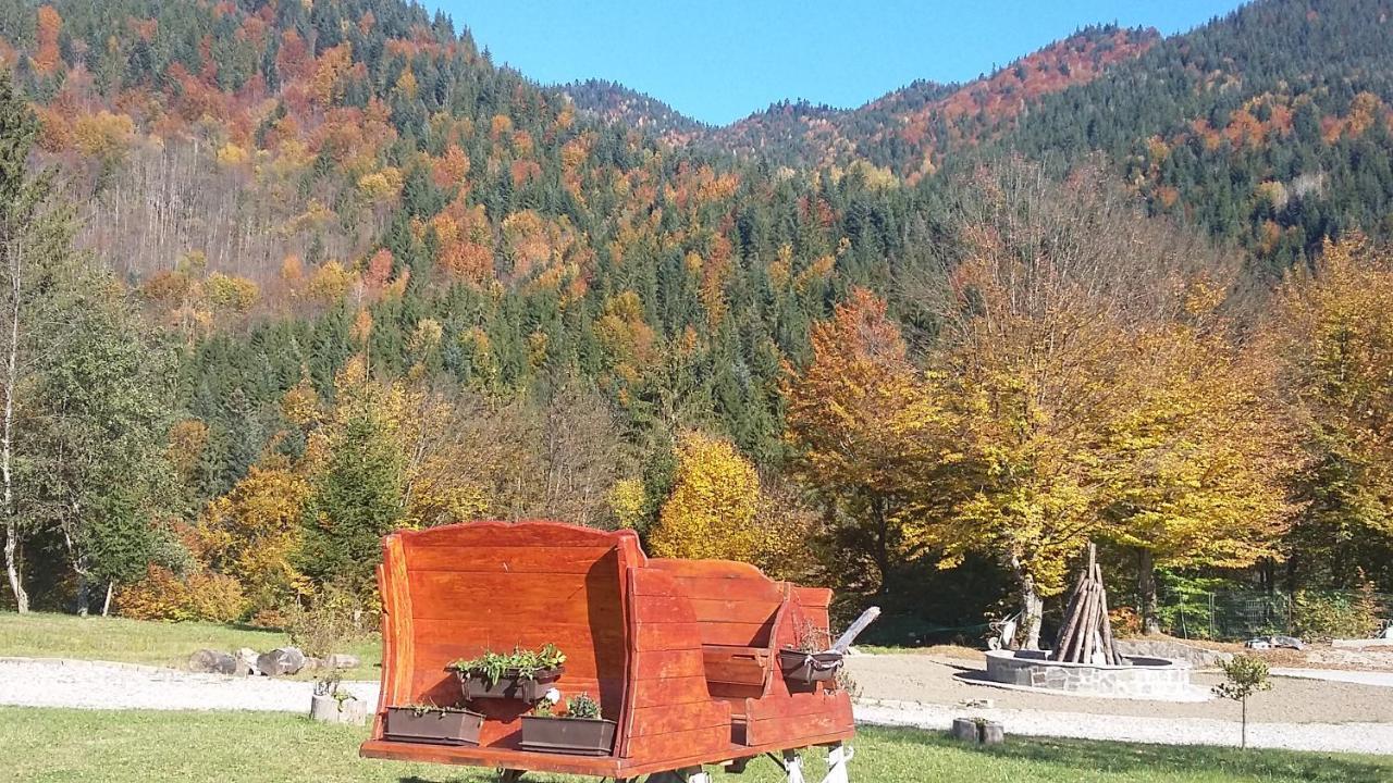 Pensiunea Poiana Soarelui Brates 외부 사진