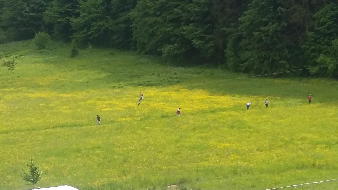 Pensiunea Poiana Soarelui Brates 외부 사진