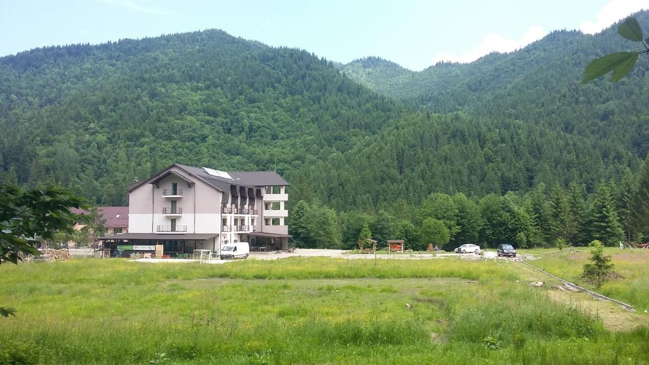 Pensiunea Poiana Soarelui Brates 외부 사진